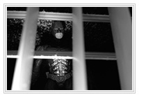 ���� ������ �� �����