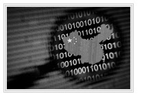 DDoS �� �����