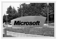 Microsoft & Facebook