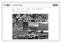 Google+