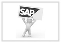 SAP ���