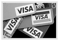 Visa � ������